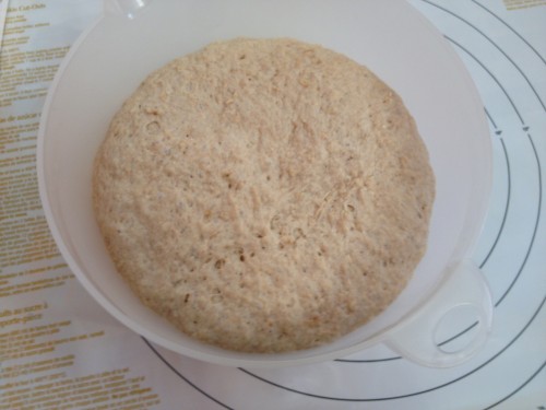 My dough ball for honey oat bagels has risen and is ready to be shaped into bagels.