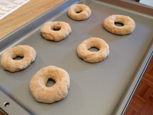 Shape the bagels and let rise one las time.