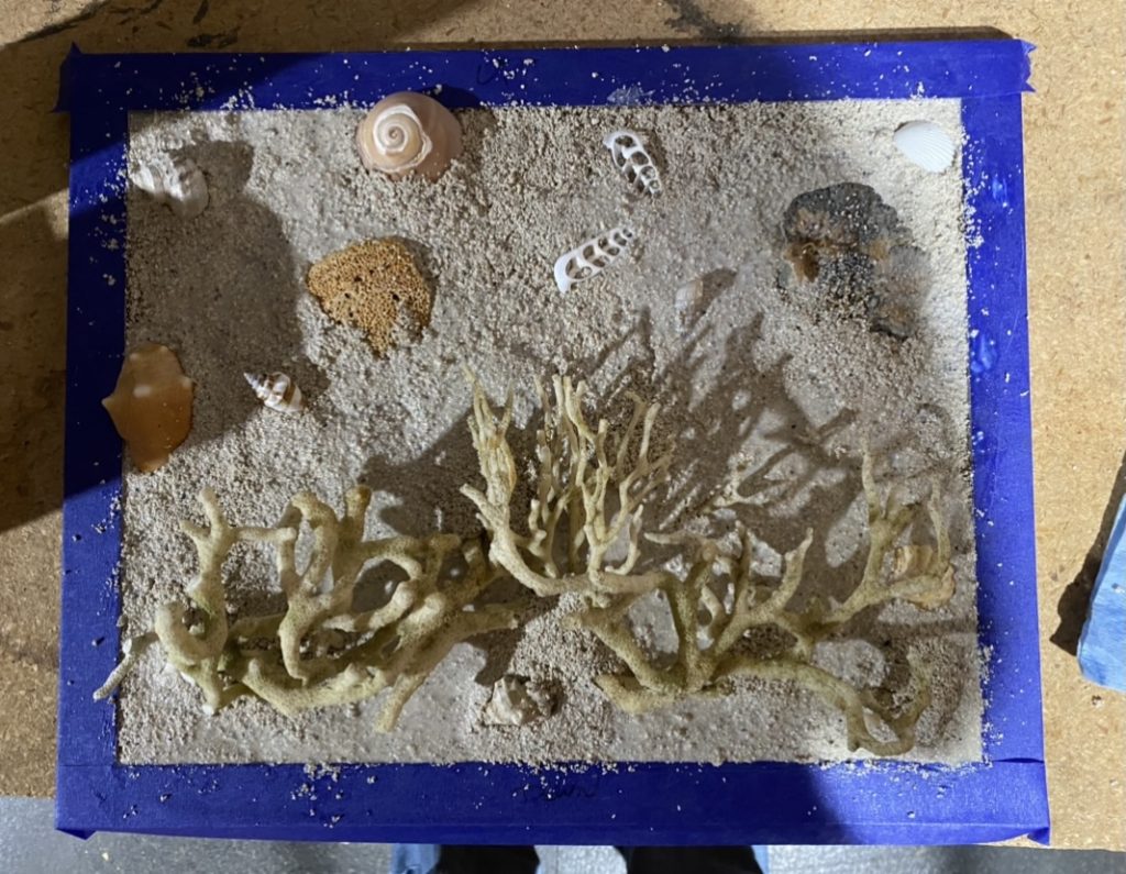 The coral and shells are all placed