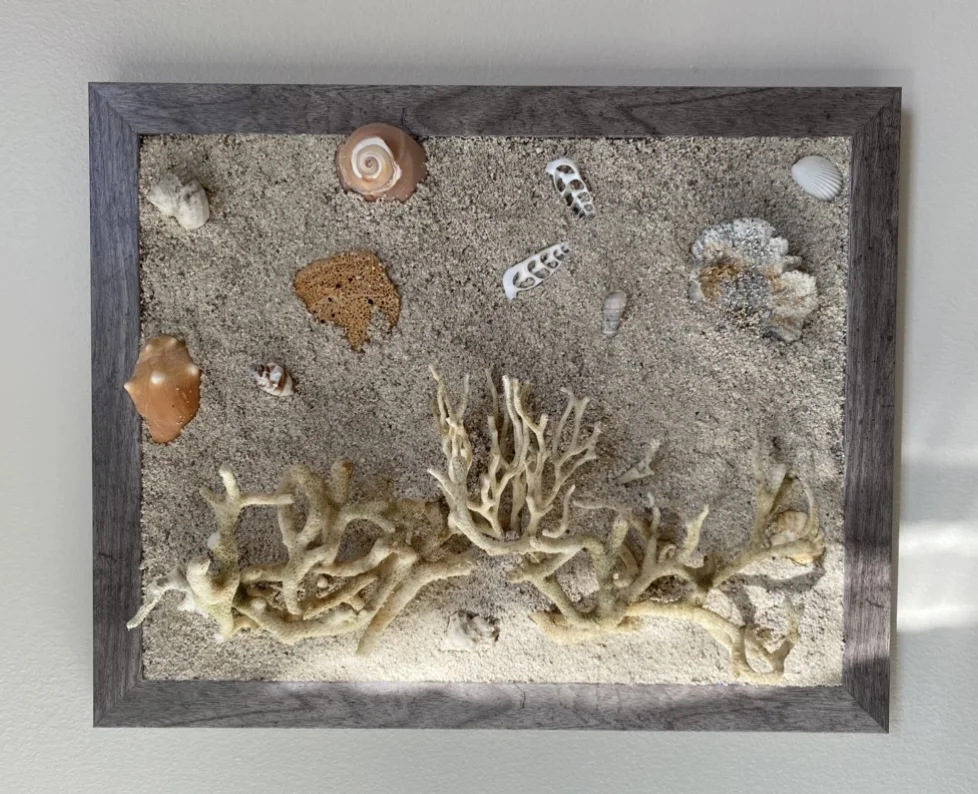 Picture Frame store 5x7 coral fossils