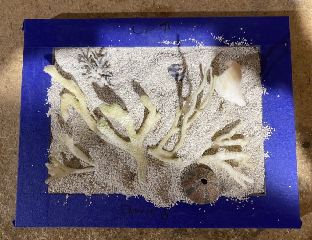 Testing the coral layout in the sand